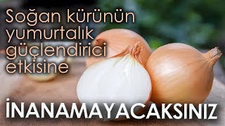 Soğan Kürünün Yumurtalık Güçlendirici Etkisine İnanamayacaksınız [upl. by Bithia]