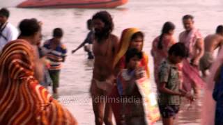 Devotees charge into the icy water at Ganga Sagar for a holy dip [upl. by Seftton265]