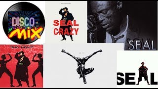 Seal  Crazy New Extended Maxi Disco Remix VP Dj Duck [upl. by Burnie]