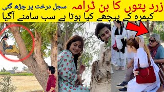 zard patton ka bunn zard patton ka band  zard patton ka bunn behind the scenes sajal aly  hamza [upl. by Eeliab]