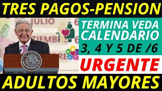 Nuevas Fechas de PAGO 💰 Pensión Bienestar Adultos Mayores y Personas con Discapacidad 2024 [upl. by Weiss885]