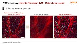 EN Webinar for IntraVital Microscopy English Version Recording 12212021 [upl. by Brosine543]