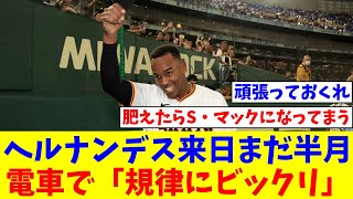 ヘルナンデス初アーチ「シンカー一本に絞って」来日まだ半月、電車で「規律にビックリ」【なんJ反応】【プロ野球反応集】【2chスレ】【5chスレ】 [upl. by Nnylyoj586]