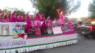 WATCH NOW Flamingo Lounge float rolls down 119th Street for Pierogi Fest Parade [upl. by Dat]