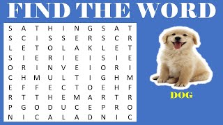 Word Game  Word Search  Puzzle  Find the Hidden Words  Word search finder  Find Words 10 [upl. by Araiet]