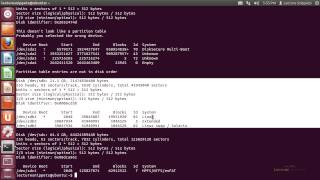 Ubuntu 1204 Forensics  Listing Disks With FDISK [upl. by Lemrac]