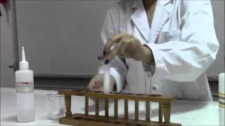 CHEMISTRY Cation Test for Ca2 using NaOH and NH4OH [upl. by Ranice940]