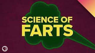 The Science of Farts [upl. by Krystin]