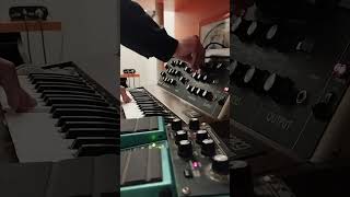 Minimoog with boss slicer 👽🖤 techno electronicmusic [upl. by Ronda]