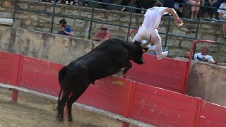 VALLABREGUES15062024Course CamarguaiseAvenir [upl. by Tnert]