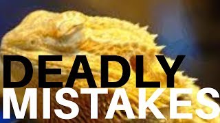 6 DEADLY Brumation Mistakes [upl. by Fabrianna]