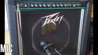 Peavey Special 112 1990 [upl. by Ardnoed251]