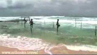 Weligama Sri Lanka Stilt fishermen [upl. by Monte]