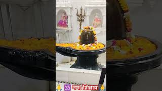 Shiv dhun  Shiv Stuti bhajan shortsshortyoutubeshorts shiva shiv shivji viralshort bhakti [upl. by Ereynihc]