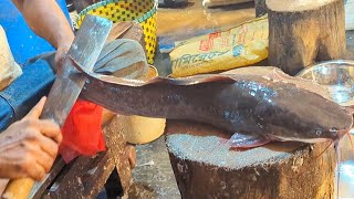 Amazing Big Magur Fish Cutting By Expert Fish Cutter  Catfish Cutting Skills In Bangladesh [upl. by Iridis923]