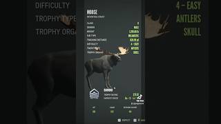 SUPER RARE MELANISTIC MOOSE cotw thehuntercotw tiktok gaming shorts short [upl. by Loughlin]