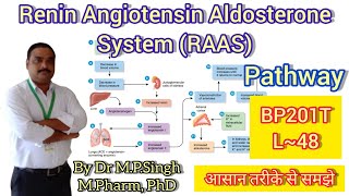 Role of Renin Angiotensin Aldosterone System  Human Anatomy PhysiologyII  BP201T [upl. by Callista458]