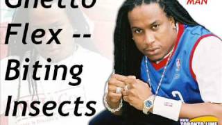 Ghetto Flex  Biting Insects SOCA [upl. by Battiste]