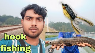 Hook 🪝 fishing শোল মাছ ধরা নতুন ভিডিও।ModhumotiFishing [upl. by Sathrum263]