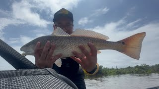 Disaster to Success Journey for my First REDFISH Catch Clean amp Cook [upl. by Westphal]