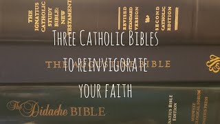 Three Catholic Bibles To Reinvigorate Your Faith [upl. by Burkitt89]