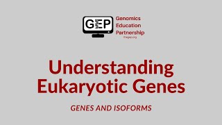 UEG  Genes and Isoforms [upl. by Rogerson]