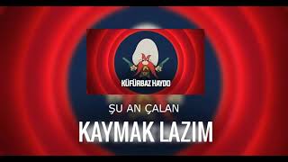 Küfürbaz Haydo  Kaymak Lazım Ankaralı Turgut Cover [upl. by Aizti]