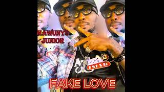 MAWUNYO JUNIOR  FAKE LOVE [upl. by Dnesnwot]