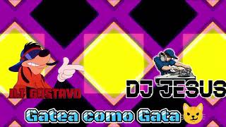 Perrea mami perrea x Gatea Como Gata Dj Gustavo Ft Dj Jesús pro mix 🔥🚨🥷🏻 [upl. by Arramahs6]