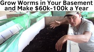 Make 60K100K a Year By Growing Worms in Your Basement [upl. by Aharon]