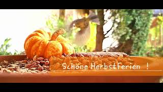 Schöne Herbstferien [upl. by Kal]