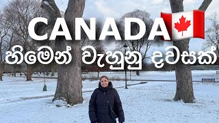 Canada 🇨🇦  හිමෙන් වැහුනු දවසක රවුමක් ❄️  25000 Subscribers canada sinhala srilankan hamilton [upl. by Oppen]