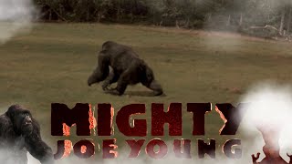 Mighty Joe Young  𝓘𝓯 𝓦𝓮 𝓑𝓮𝓲𝓷𝓰 𝓡𝓮̈𝓪𝓵 [upl. by Fahy]