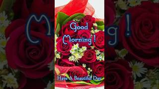 Good morning status  Beautiful good morning whatsapp status video good morning massage video [upl. by Innej]