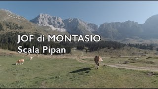 Montasio 2752 m Scala Pipan Via Normale 2023 [upl. by Yablon559]