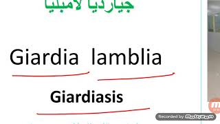 Giardia lamblia جيارديا لامبليا [upl. by Cammie]