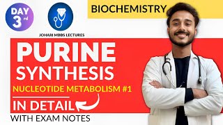 purine synthesis biochemistry  nucleotide metabolism biochemistry  purine nucleotide synthesis [upl. by Garibald]