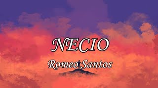 Romeo Santos  Necio Letra [upl. by Millwater]