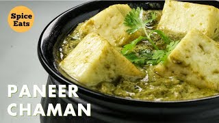 PANEER CHAMAN  PANEER HARA MASALA  PANEER HARIYALI GRAVY [upl. by Goldwin908]