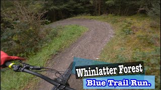 Whinlatter Forest The Blue Trail Keswick England Specialized Turbo Levo Comp Carbon Emtb [upl. by Novehc307]