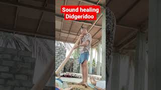 Sound healing didgeridoo didgeridoomusic didgeridoosoundhealing [upl. by Nylazor]