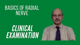 Basics of the Radial Nerve Performing a thorough Clinical Examination [upl. by Surbeck]