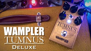 Wampler Tumnus Deluxe [upl. by Naresh]