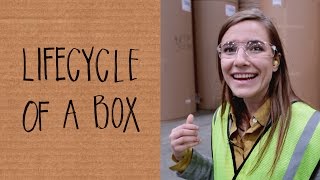 How Corrugated Boxes are Made [upl. by Malvino]