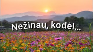 Anatolijus  Nežinau kodėl Žodžiai [upl. by Shanks]