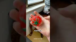 खेत में मिला 😆 mini wood toy woodworking art skill shorts ytshorts [upl. by Siahc]