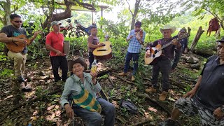 El viejon tomando guaro con la música de chanchonas [upl. by Iphigeniah]