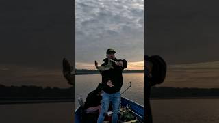 Landing a Fiesty Fat 25quot Pike michigan outdoors sports fish fishing bassfishing boat pike [upl. by Wat593]