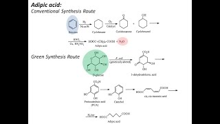 Green synthesis of adipic acid [upl. by Rosana]