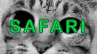 SAFARI by Tyler The Creator if it was on Bastard [upl. by Naamana967]